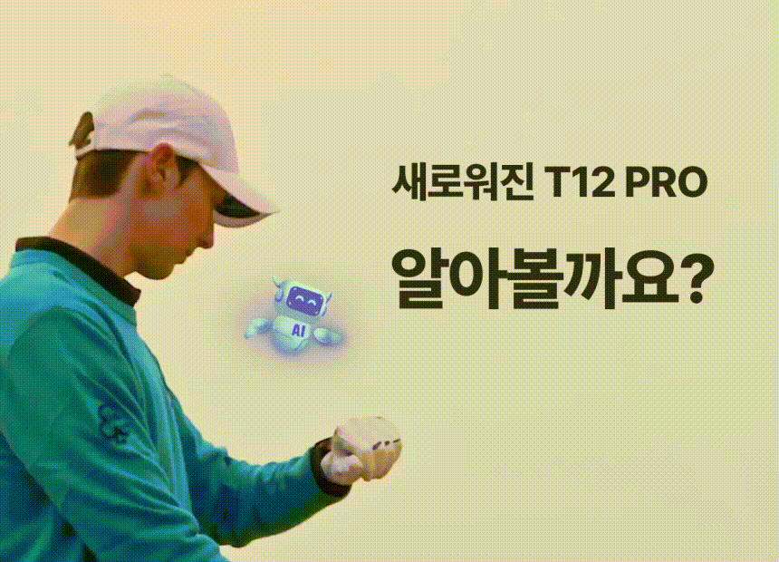 T12PRO_03_860.gif